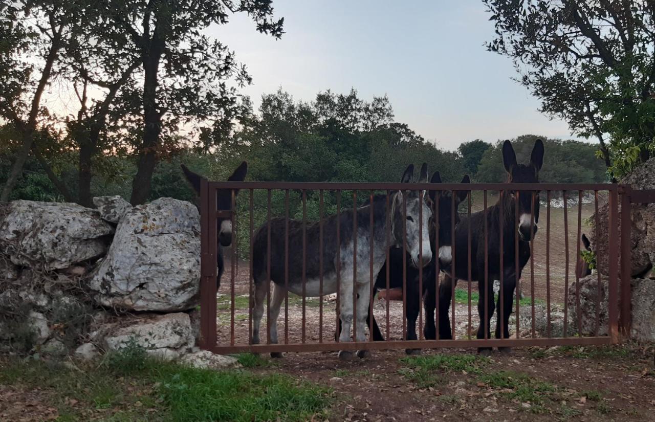 Pietra D'Angolo Locorotondo Exterior foto